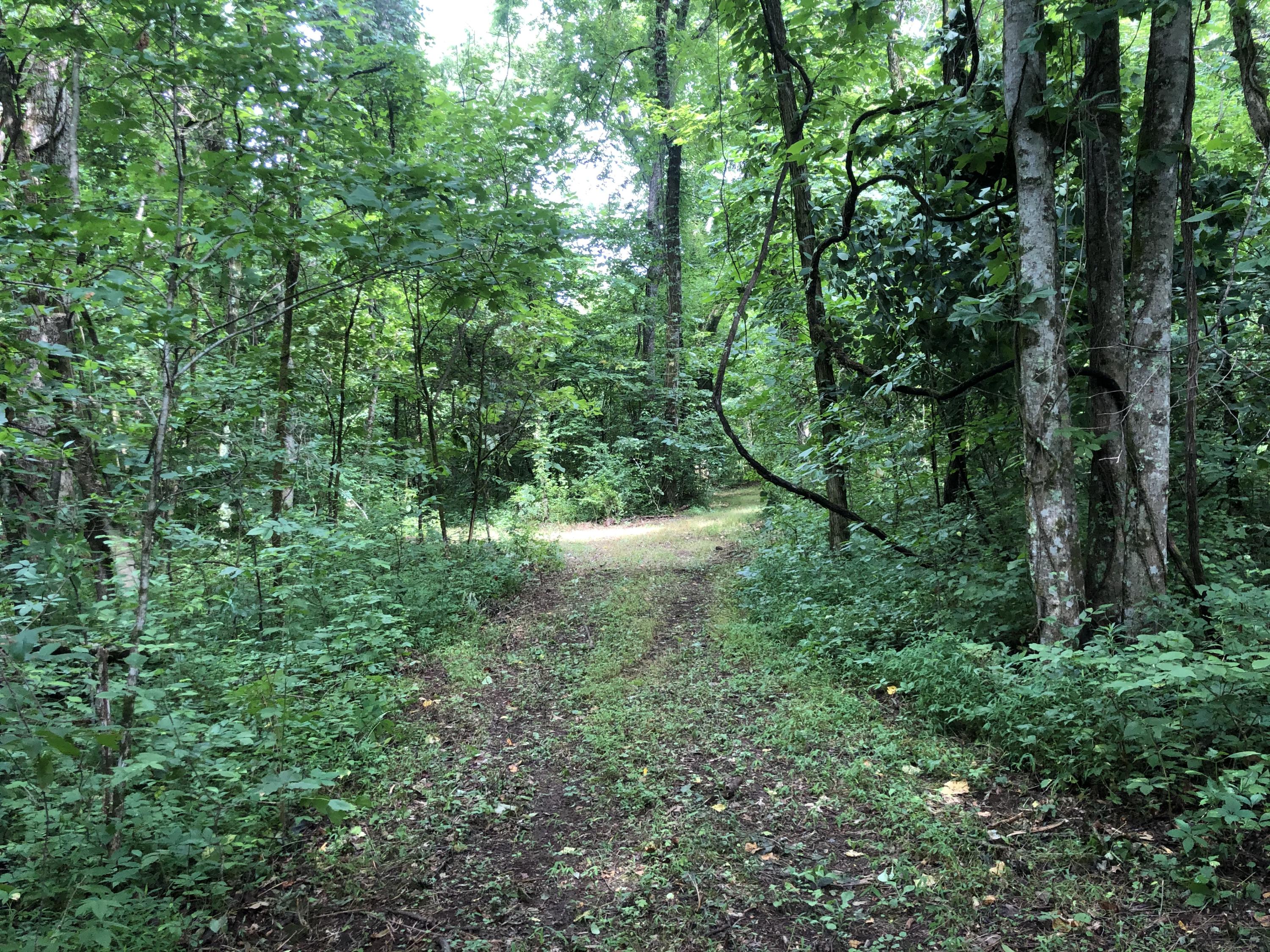 505 Cave Creek Road Loudon, TN 37774 - Photo 8 of 12 Make this property your own
