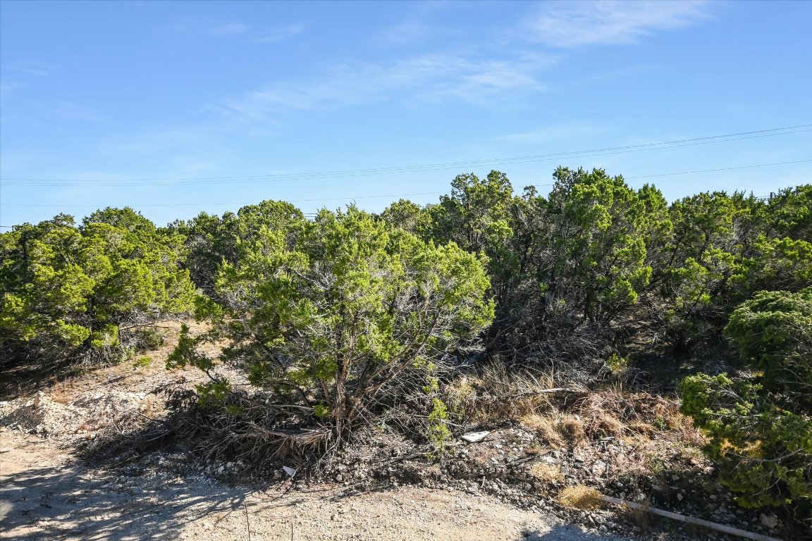 52 War Bonnet Wimberley, TX 78676 - Photo 27 of 31 a view of a large yard with lots of bushes