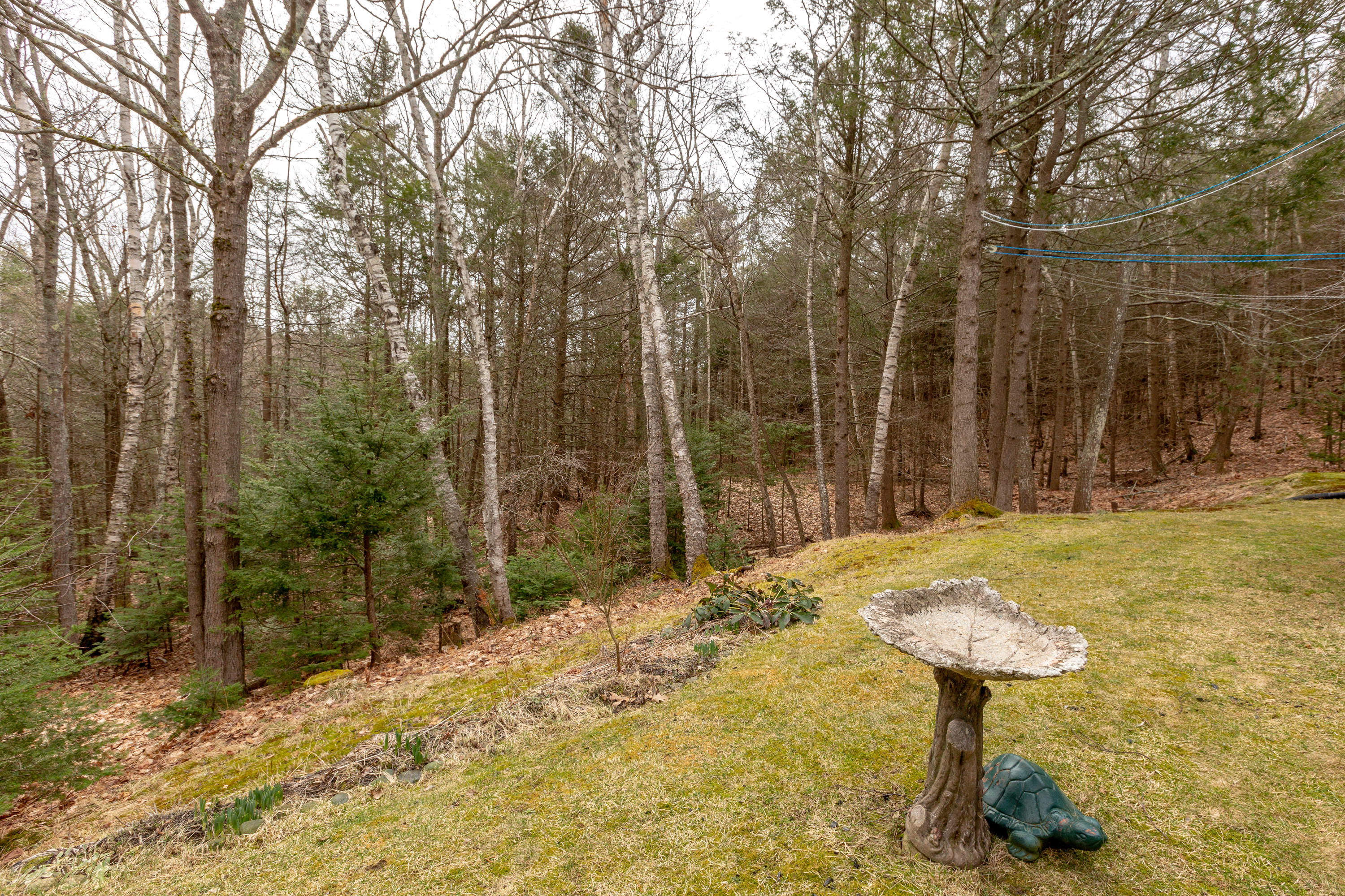 43 Sagamore Road Harpswell, ME 04079 - Photo 50 of 56 Back yard