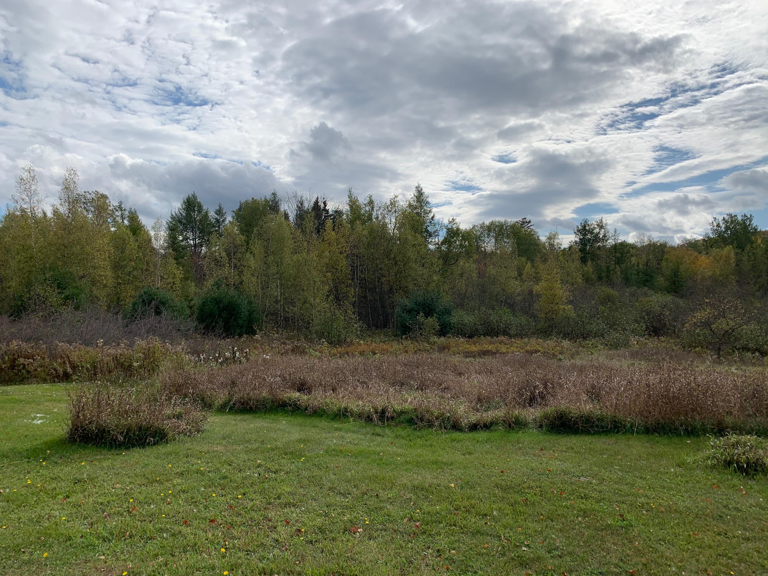 578 Cardville Road Greenbush, ME 04418 - Photo 20 of 21 IMG_3813