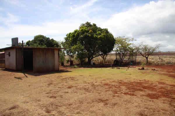 4875 Moi Road Hanapepe, HI 96716 - Photo 23 of 25 a backyard of a house