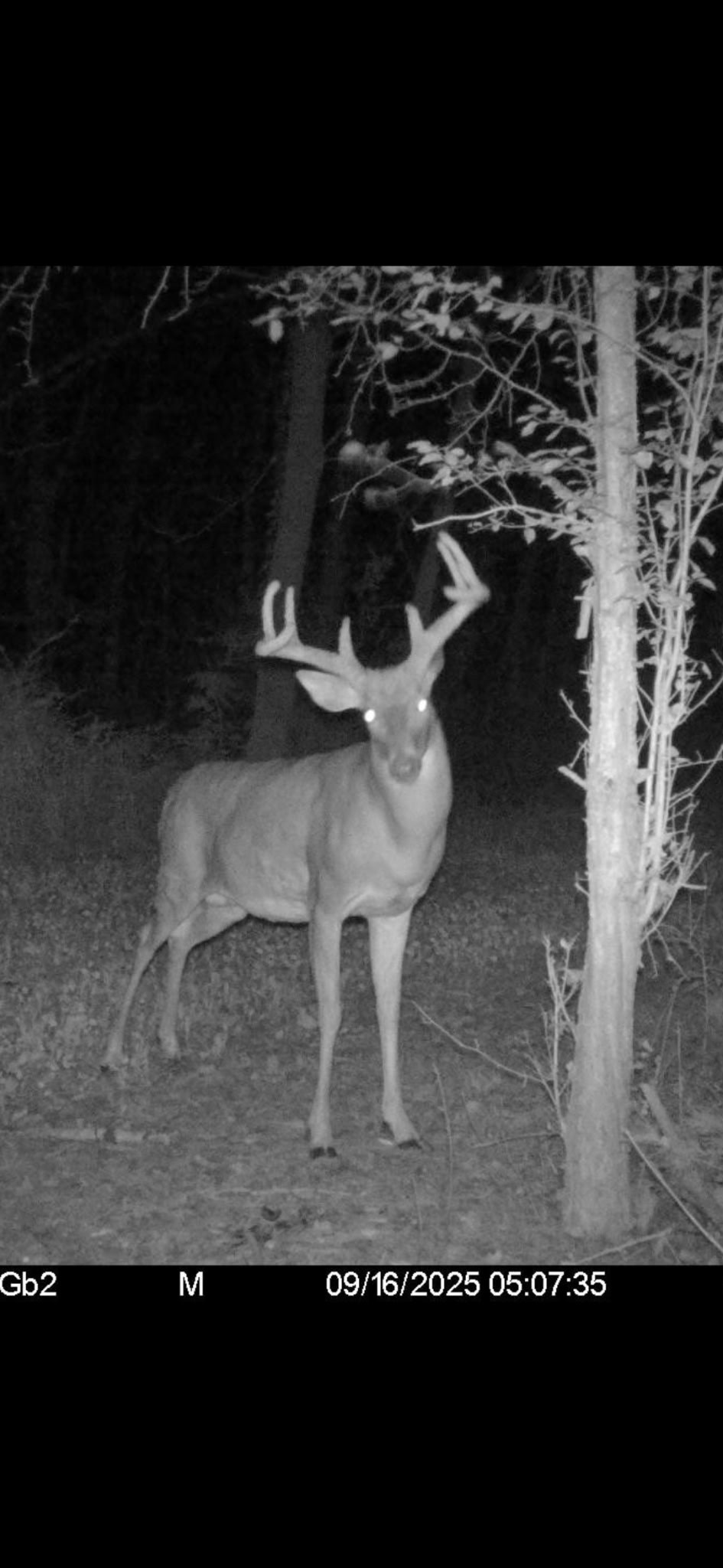 890 Independence Road Independence, WI 54747 - Photo 16 of 34