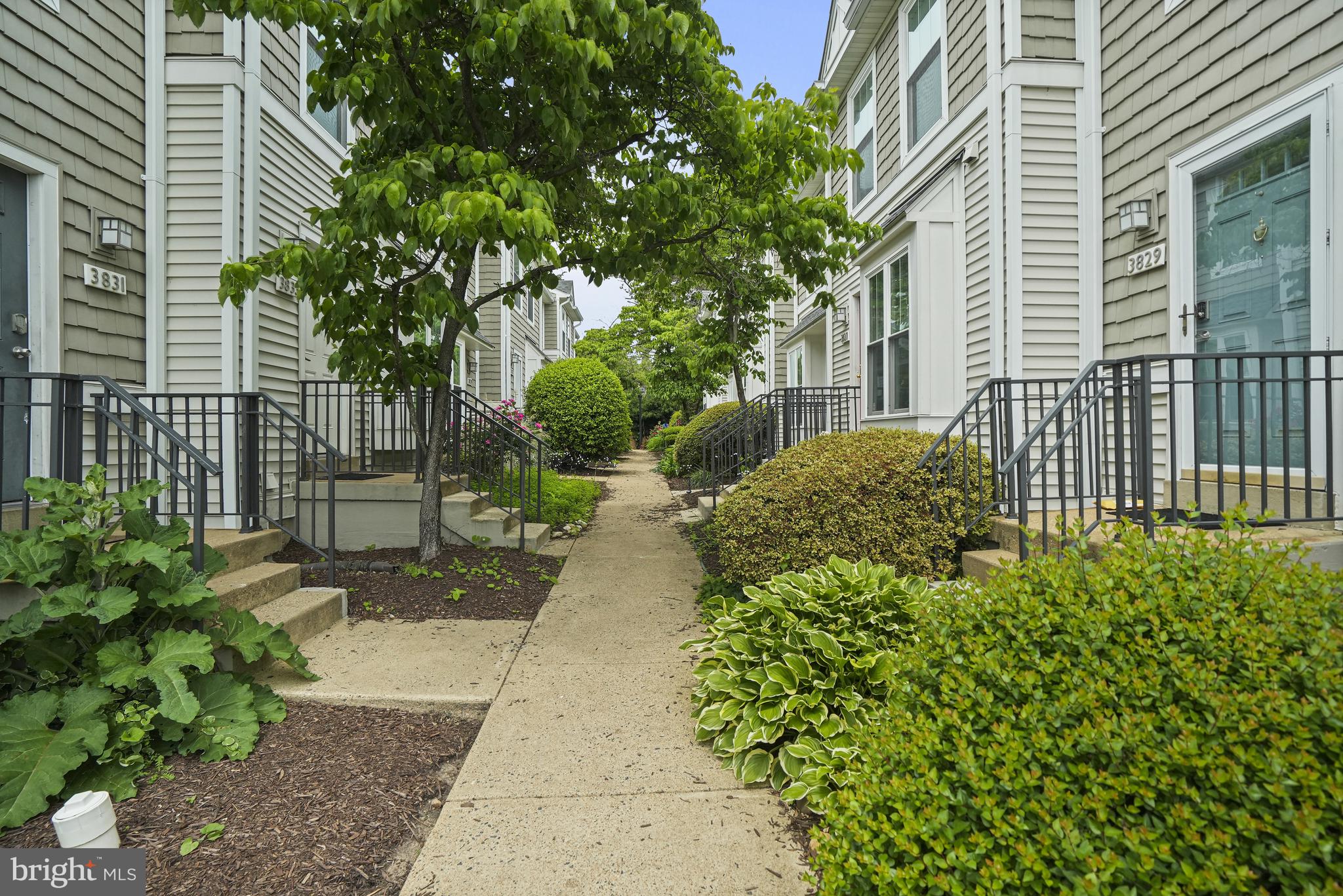 3823 9th Road South Arlington, VA 22204 - Photo 36 of 40 a view of a garden with pathway