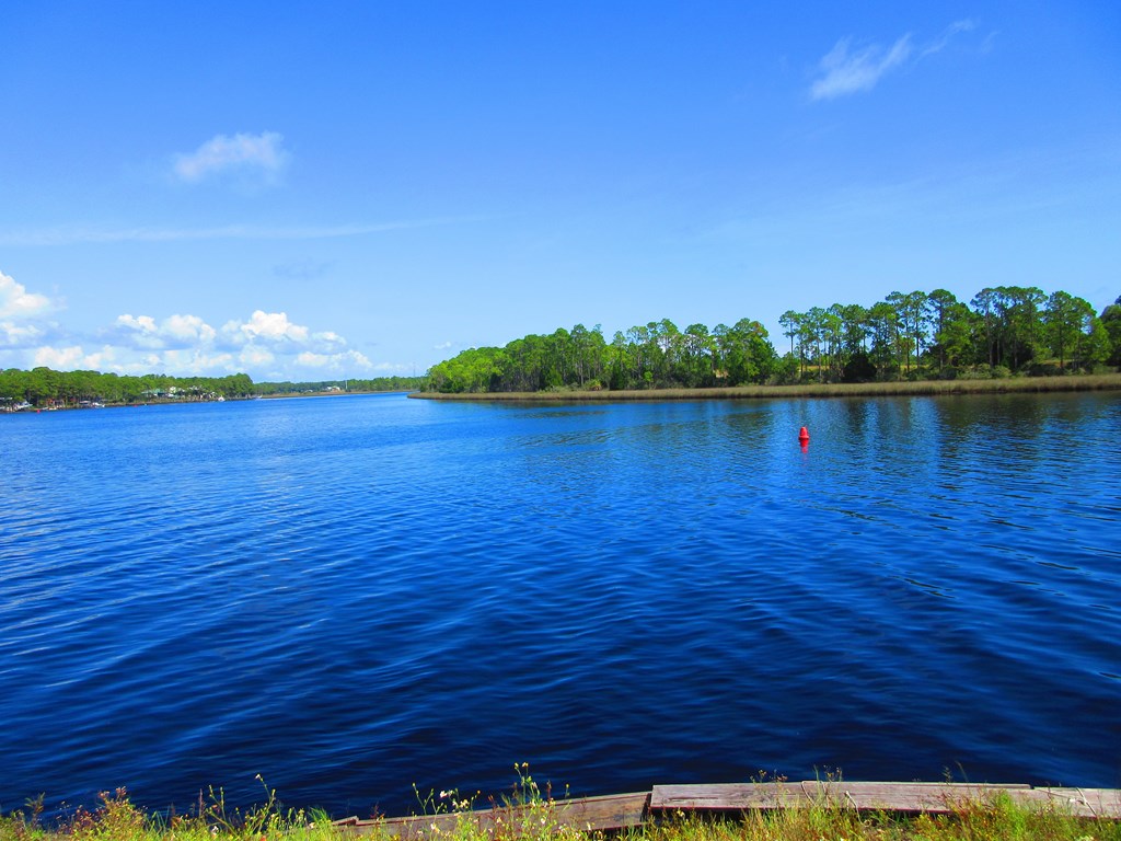 311 River Road Carrabelle, FL 32322 - Photo 20 of 31 Gallery Image 20