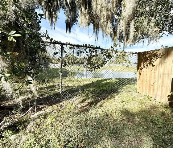 a view of a yard with plants and large trees