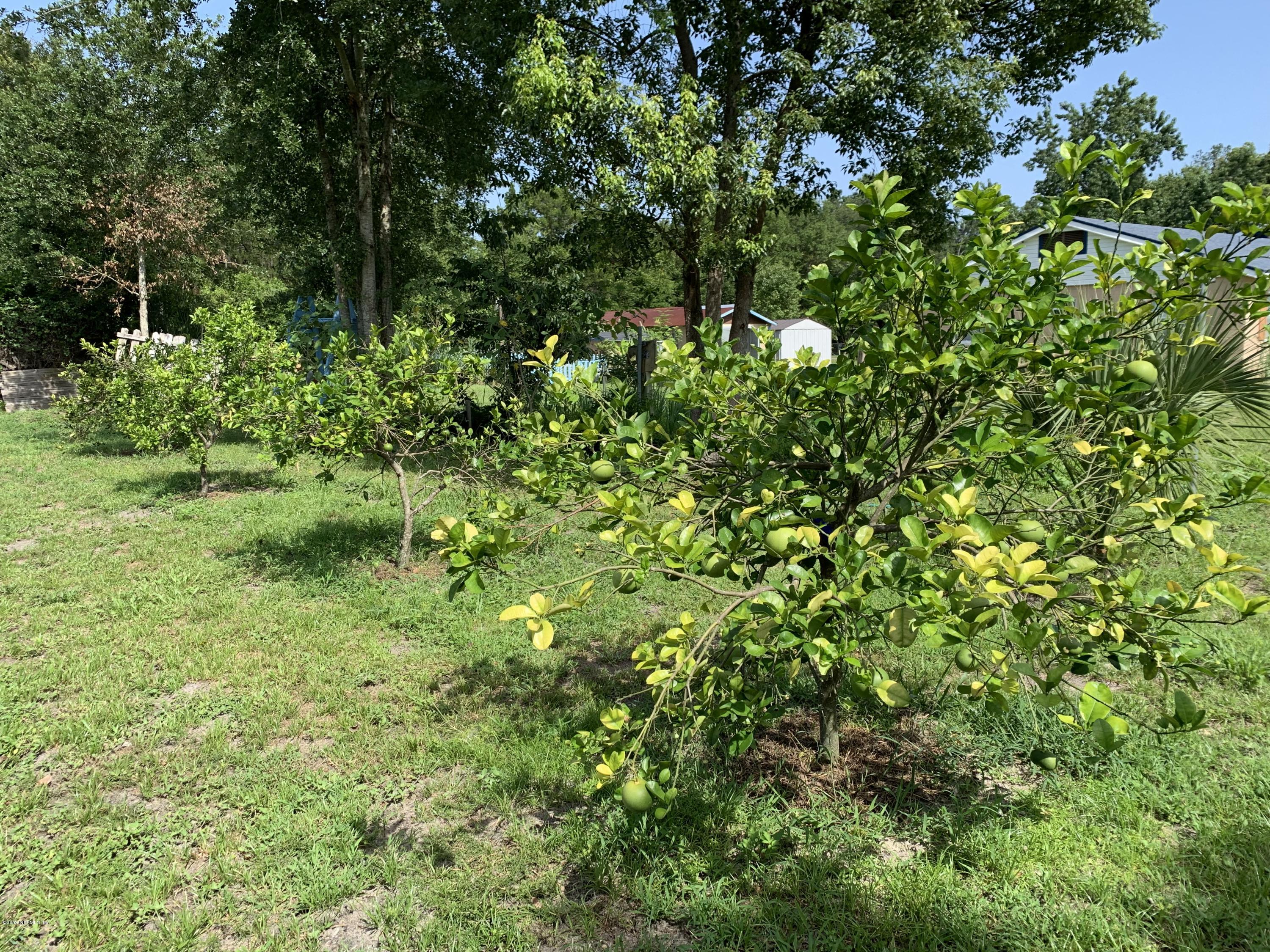 10812 Pine Estates Road East Jacksonville, FL 32218 - Photo 1 of 1 a view of a lush green forest