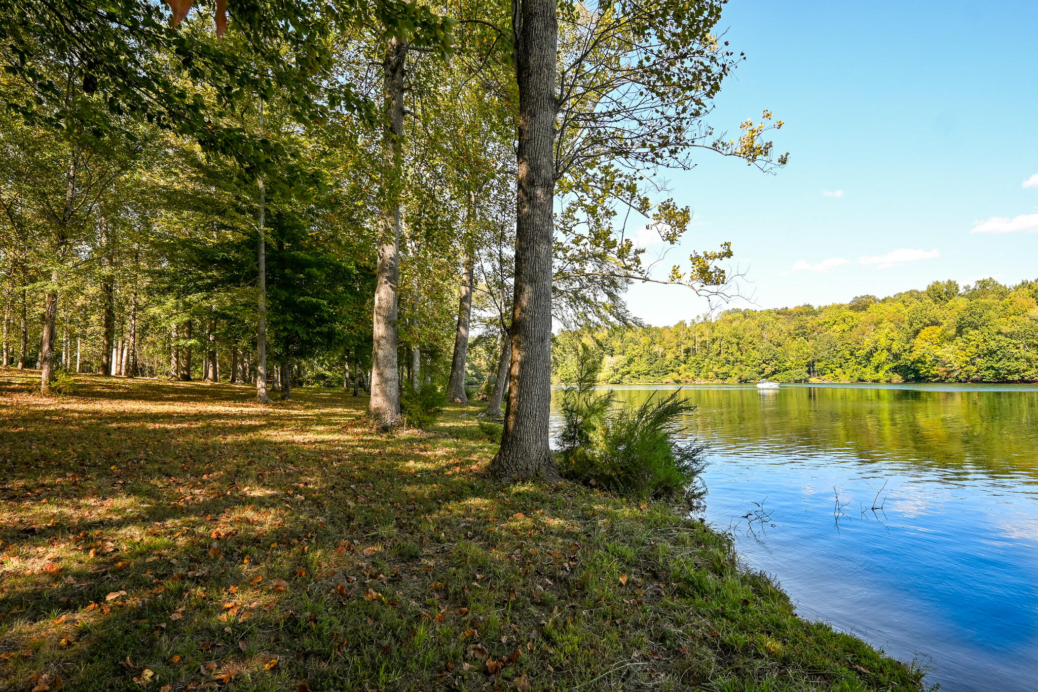 8024 Highway 58 Harrison, TN 37341 - Photo 4 of 84 DSC_2749