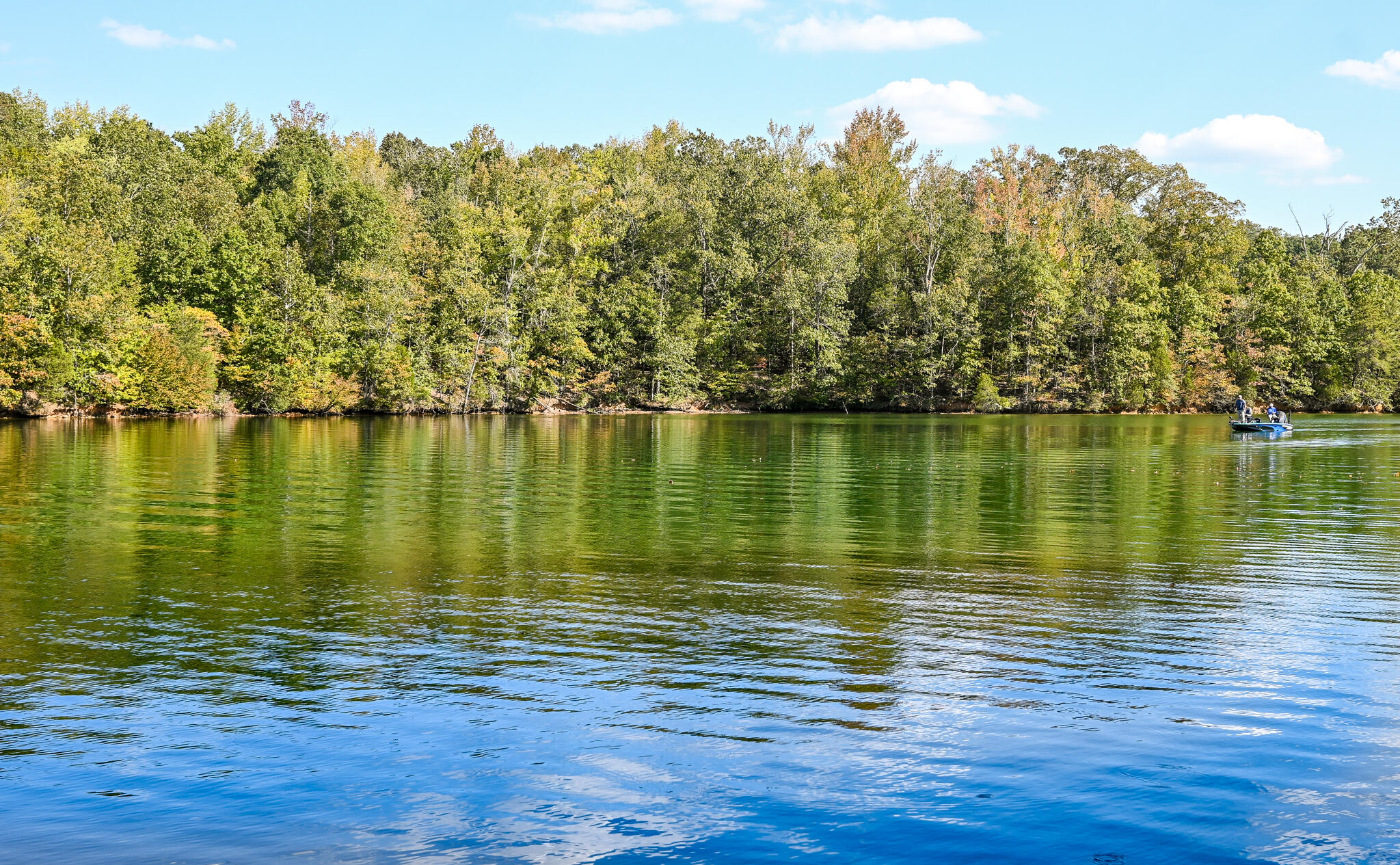 8024 Highway 58 Harrison, TN 37341 - Photo 5 of 84 DSC_2747