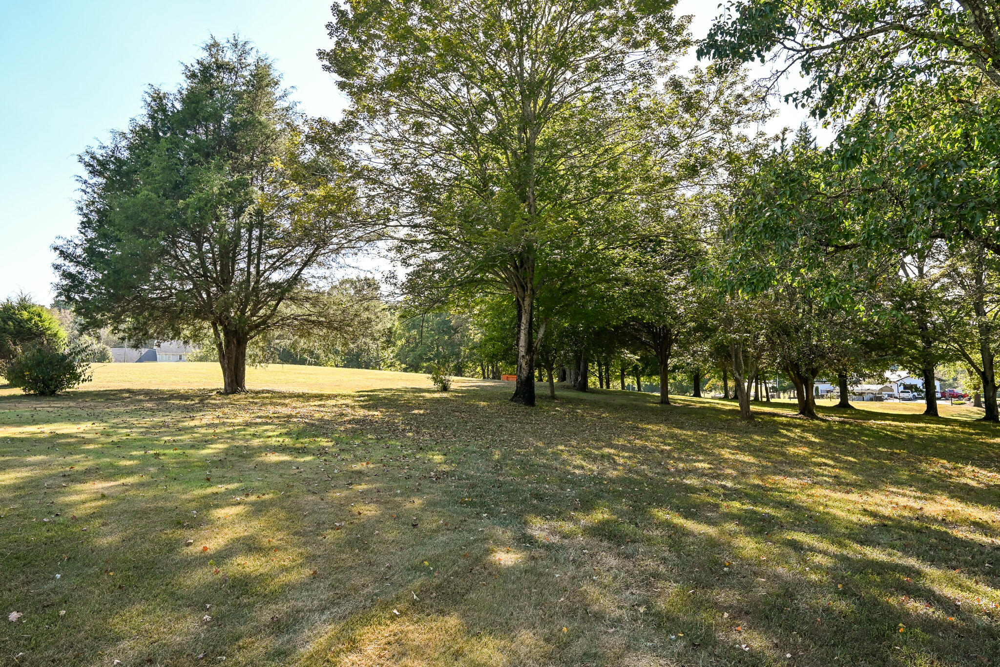 8024 Highway 58 Harrison, TN 37341 - Photo 66 of 84 DSC_2719