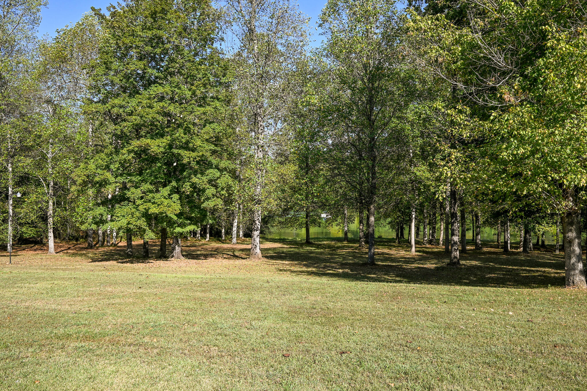 8024 Highway 58 Harrison, TN 37341 - Photo 67 of 84 DSC_2738