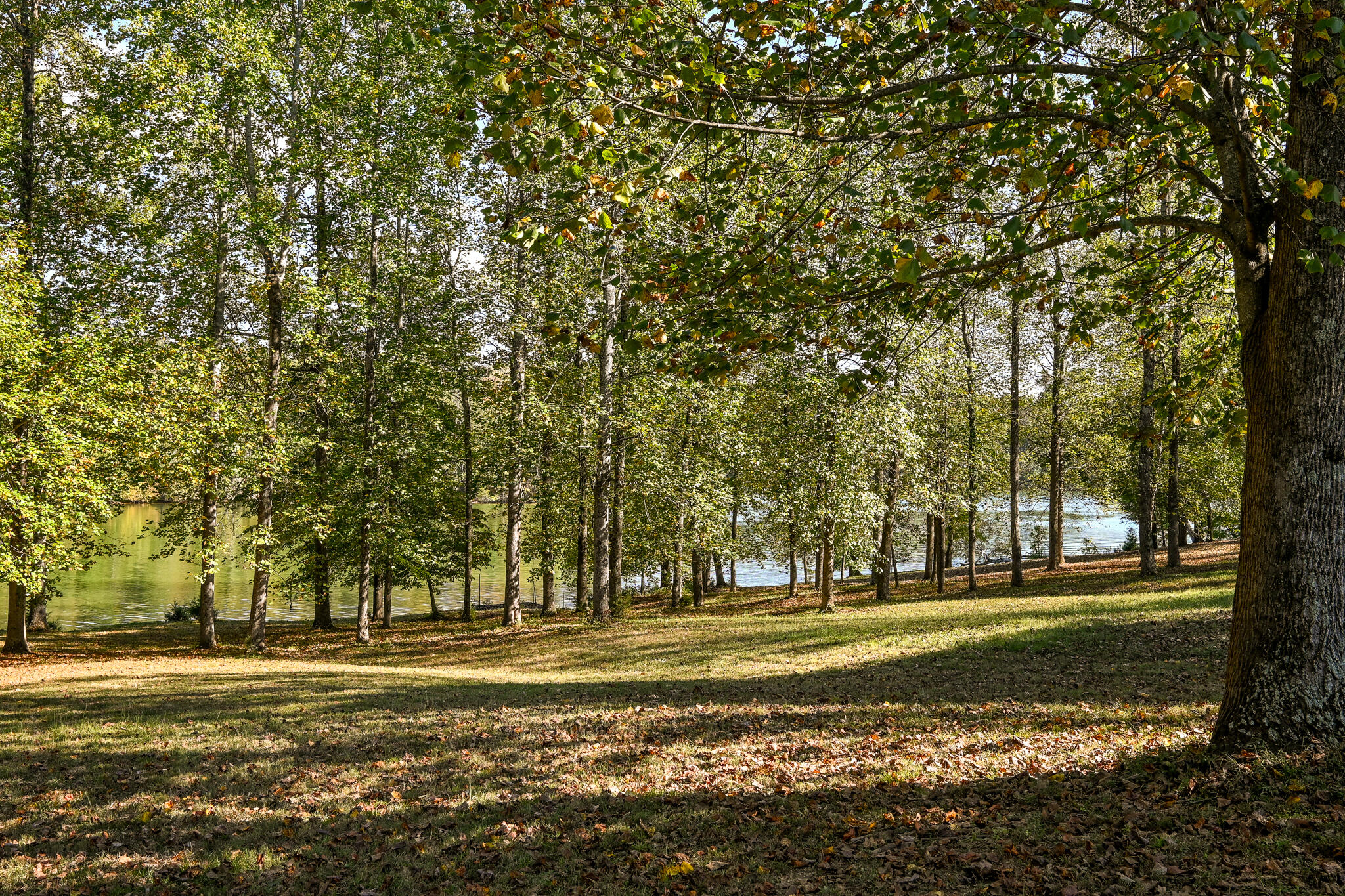 8024 Highway 58 Harrison, TN 37341 - Photo 68 of 84 DSC_2742