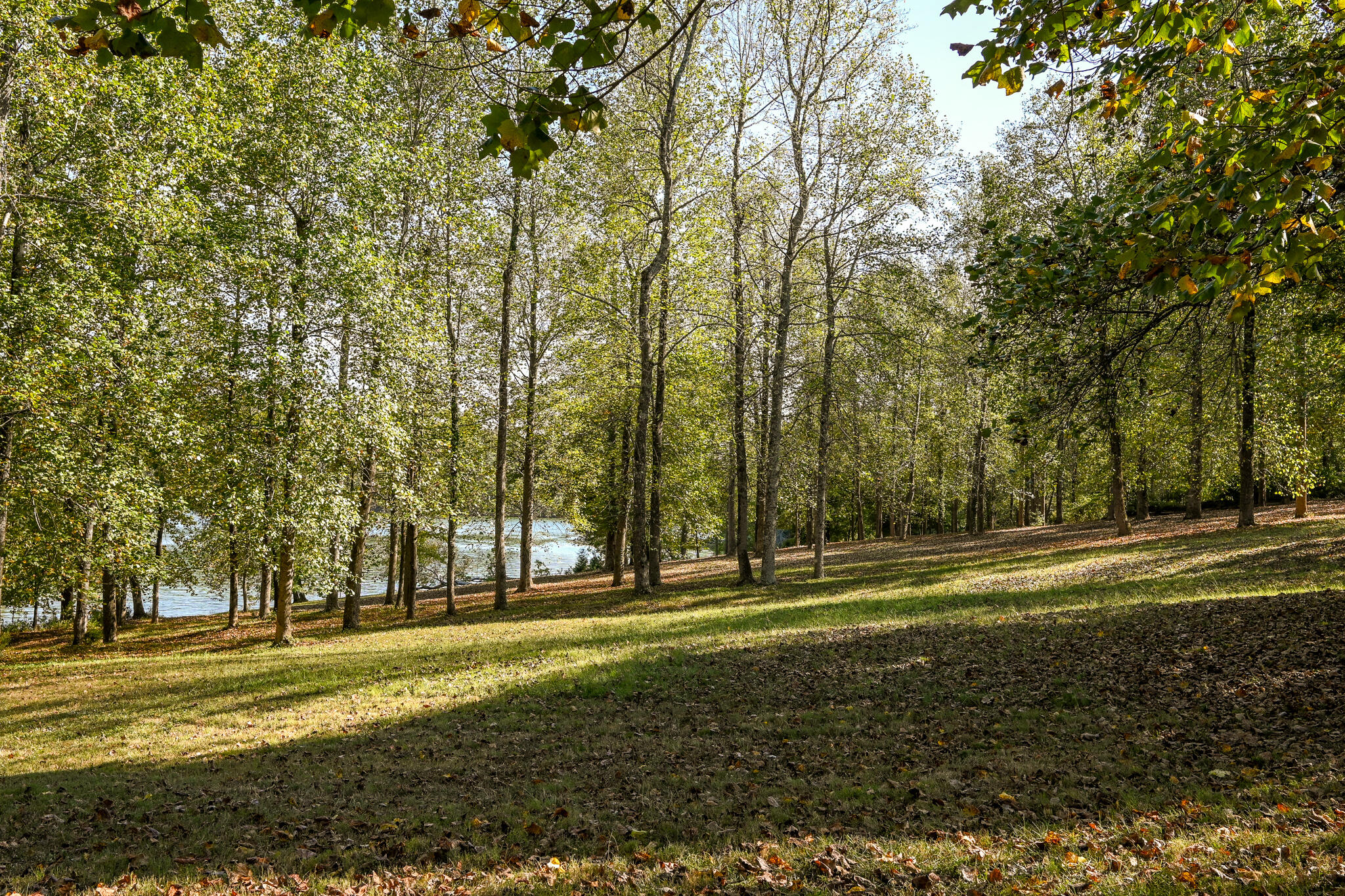 8024 Highway 58 Harrison, TN 37341 - Photo 69 of 84 DSC_2743