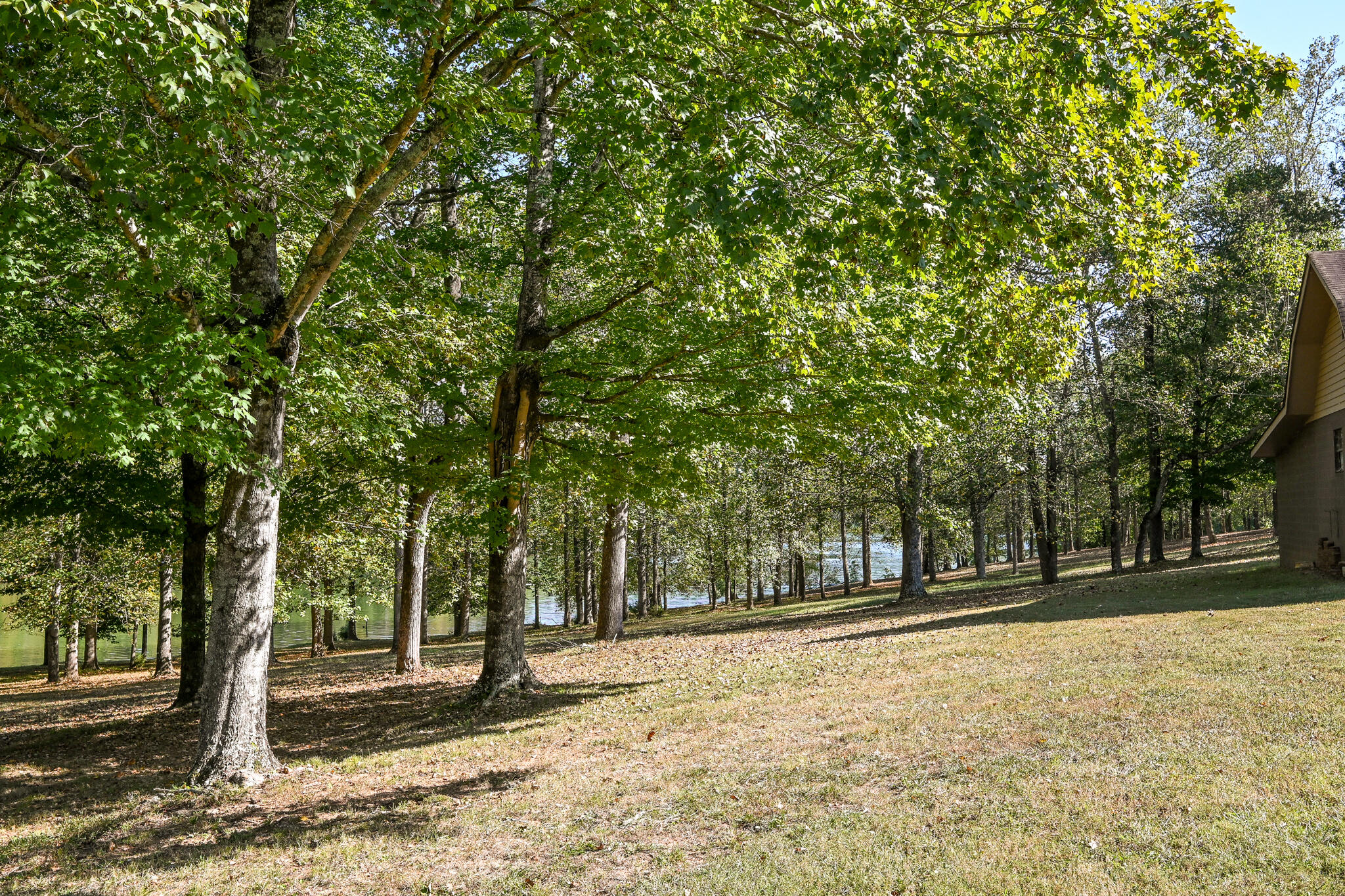 8024 Highway 58 Harrison, TN 37341 - Photo 70 of 84 DSC_2740