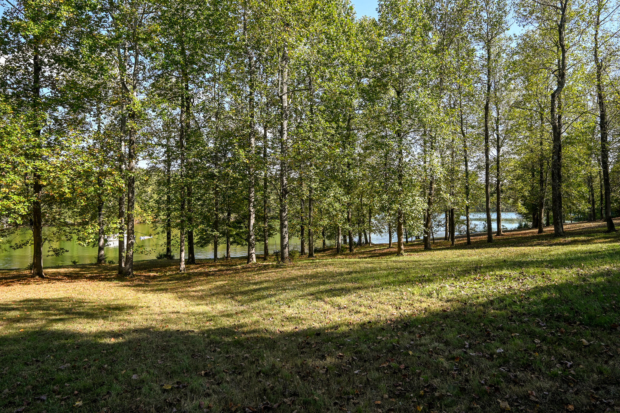 8024 Highway 58 Harrison, TN 37341 - Photo 71 of 84 DSC_2759