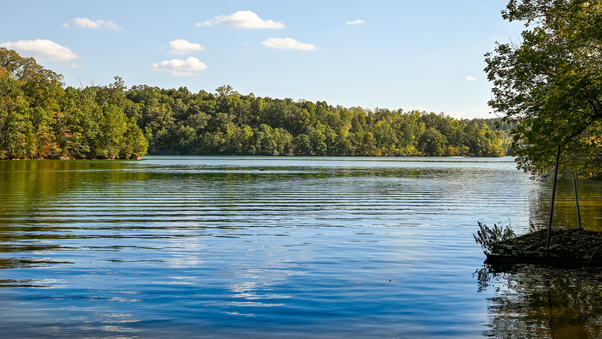 8024 Highway 58 Harrison, TN 37341 - Photo 75 of 84 DSC_2755
