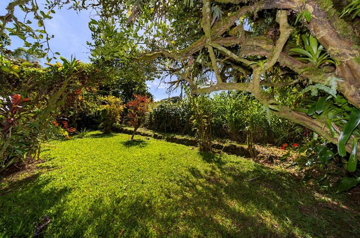 17-372 Volcano Road Kurtistown, HI 96760 - Photo 21 of 30 Gallery Image 21