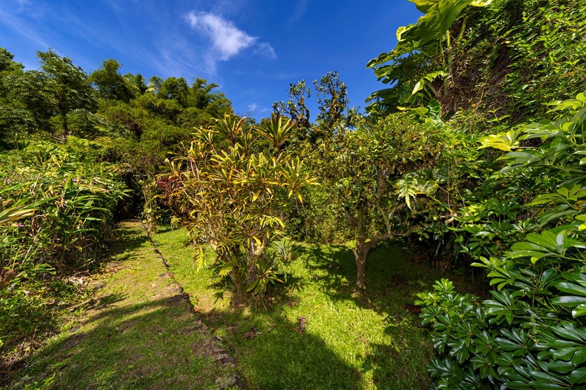17-372 Volcano Road Kurtistown, HI 96760 - Photo 23 of 30 Gallery Image 23