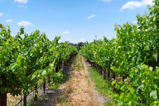 $2,200,000 | 5301 Highway 128, Geyserville, CA 95441