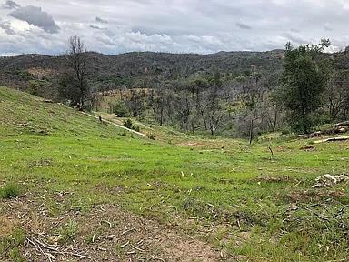 5370 Hawver Road San Andreas, CA 95249 - Photo 2 of 10 a large green field with lots of bushes