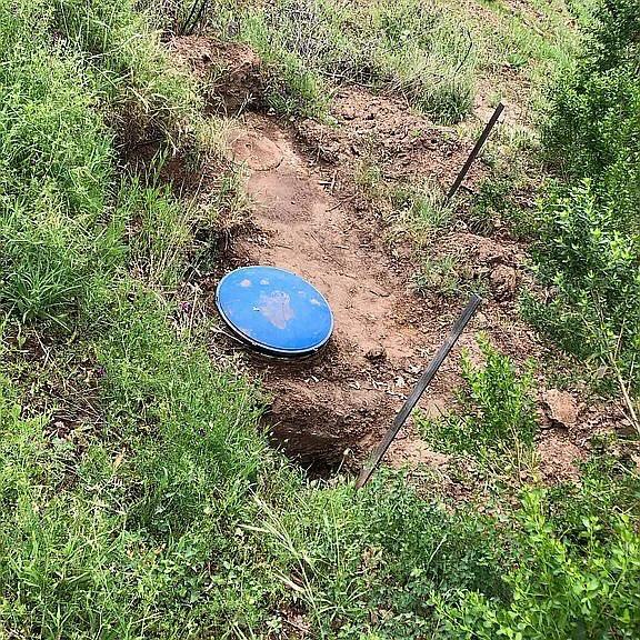 5370 Hawver Road San Andreas, CA 95249 - Photo 4 of 10 a view of a trees in a backyard