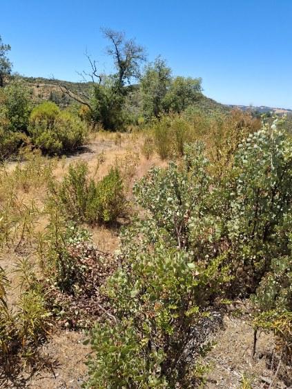 5370 Hawver Road San Andreas, CA 95249 - Photo 5 of 10 a view of a lake with mountains in the background