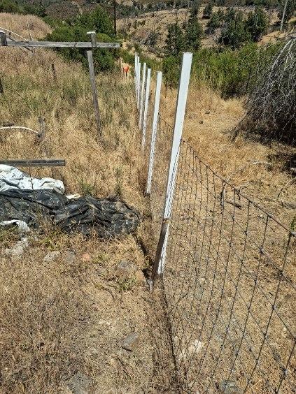 5370 Hawver Road San Andreas, CA 95249 - Photo 8 of 10 a view of small yard