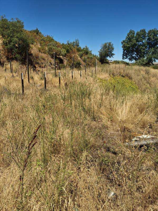 5370 Hawver Road San Andreas, CA 95249 - Photo 9 of 10 a view of lake