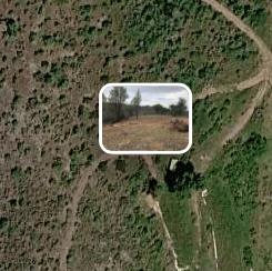 5370 Hawver Road San Andreas, CA 95249 - Photo 10 of 10 a backyard of a house with a yard