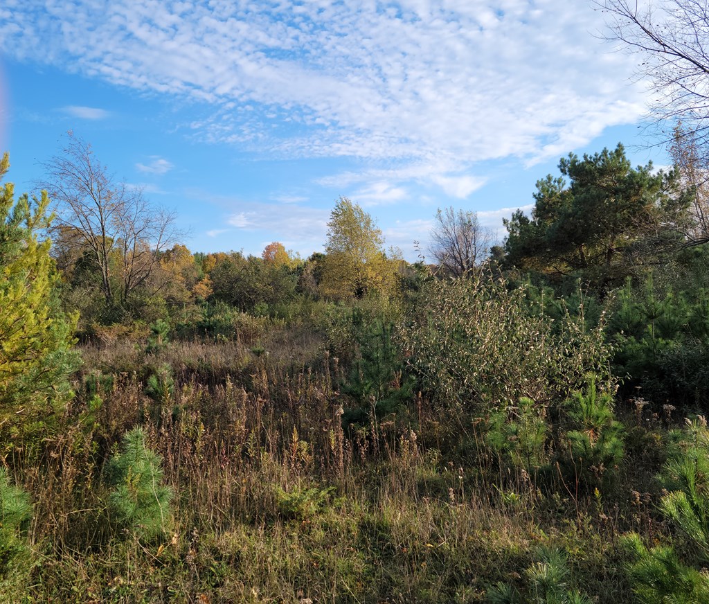 1 Gibraltar Road Fish Creek, WI 54212 - Photo 7 of 8