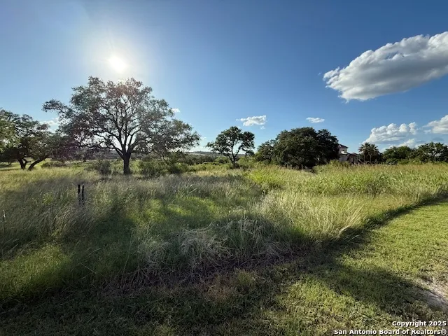 a view of a lake and green space