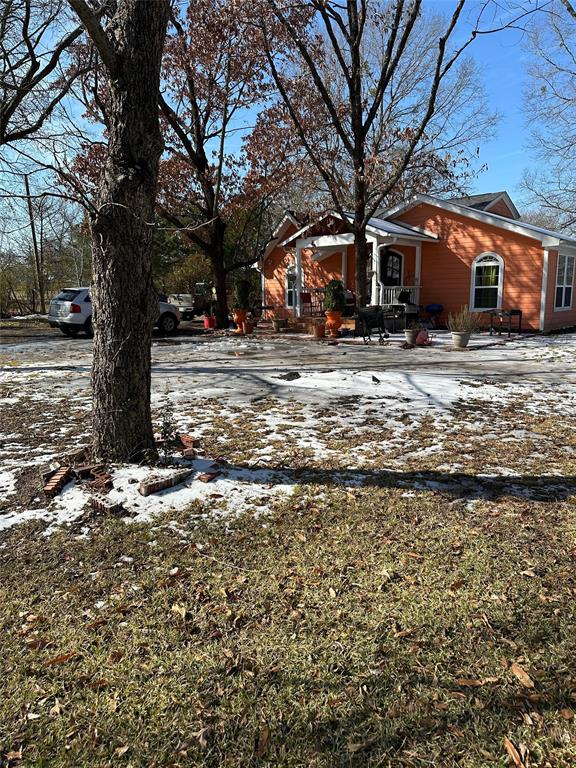 a view of a yard with a tree