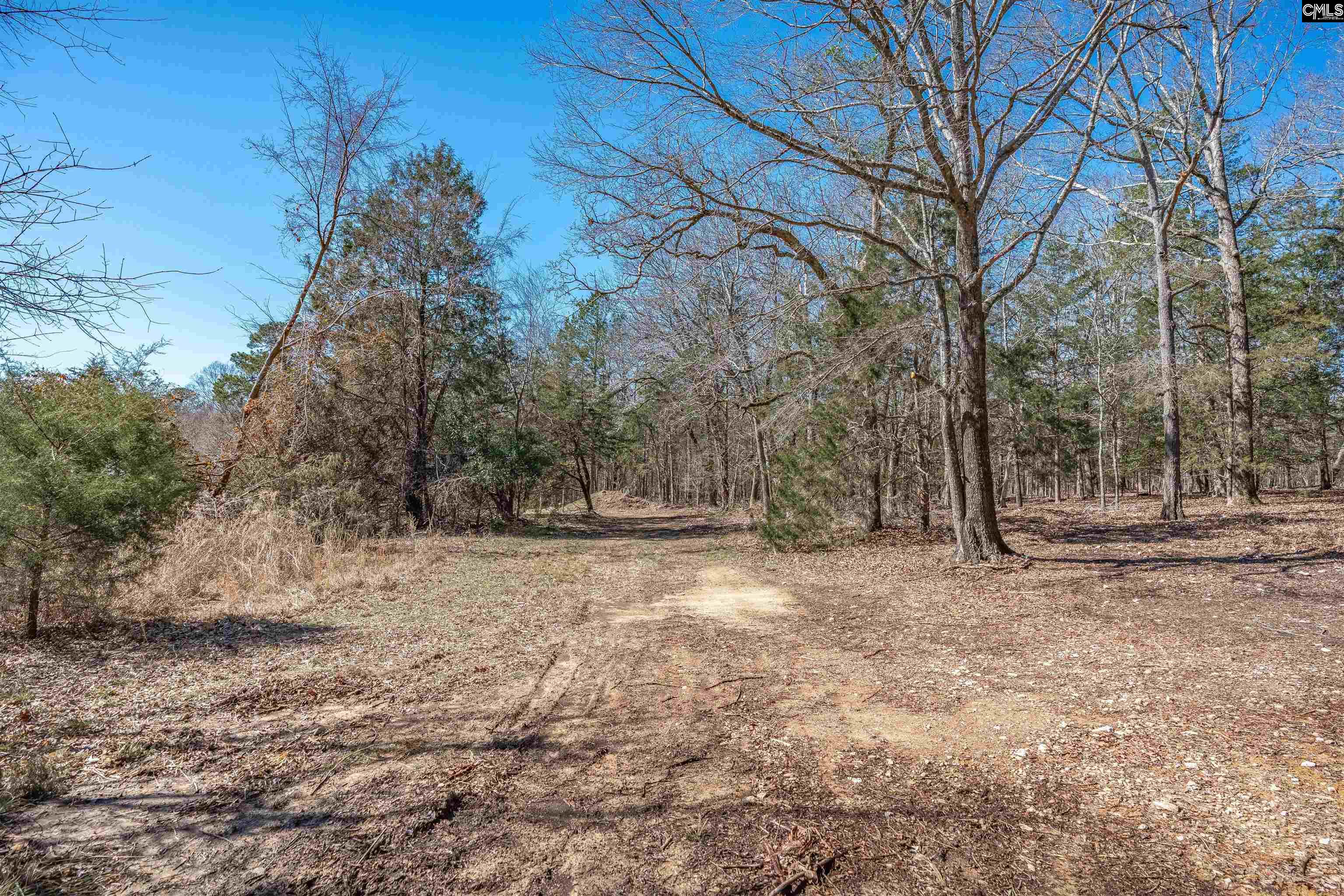 3600 Kennerly Road Irmo, SC 29063 - Photo 30 of 70
