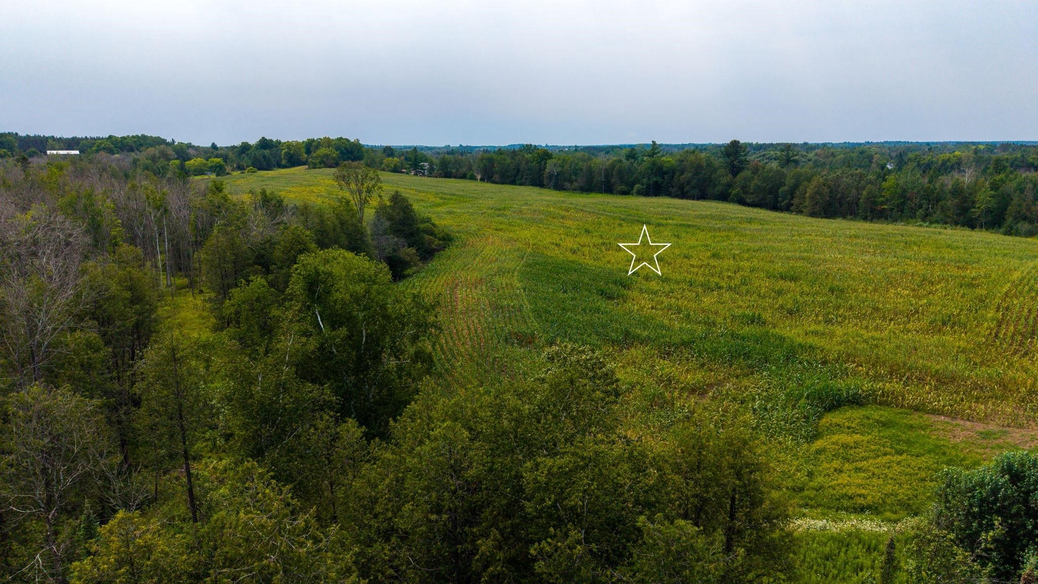 358 County Road Daggett, MI 49821 - Photo 9 of 26 Gallery Image 9