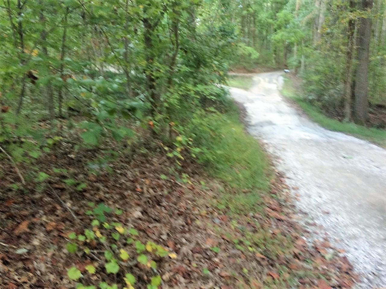 Corner Lot