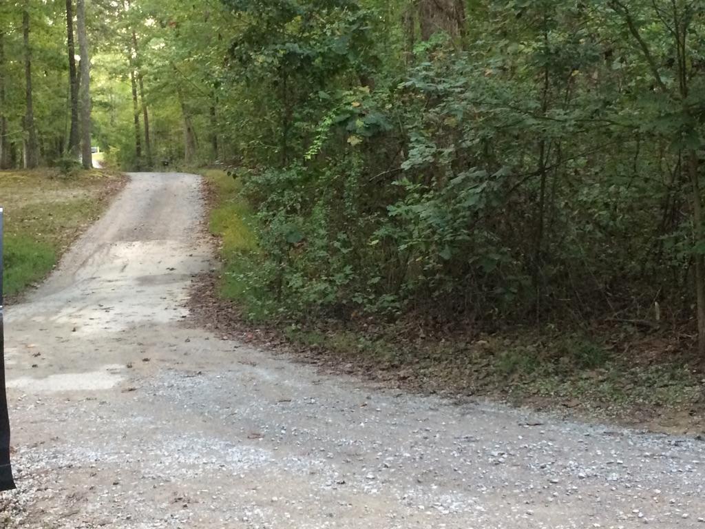 Memory Lane Grandview, TN 37337 - Photo 3 of 9 Corner Lot3