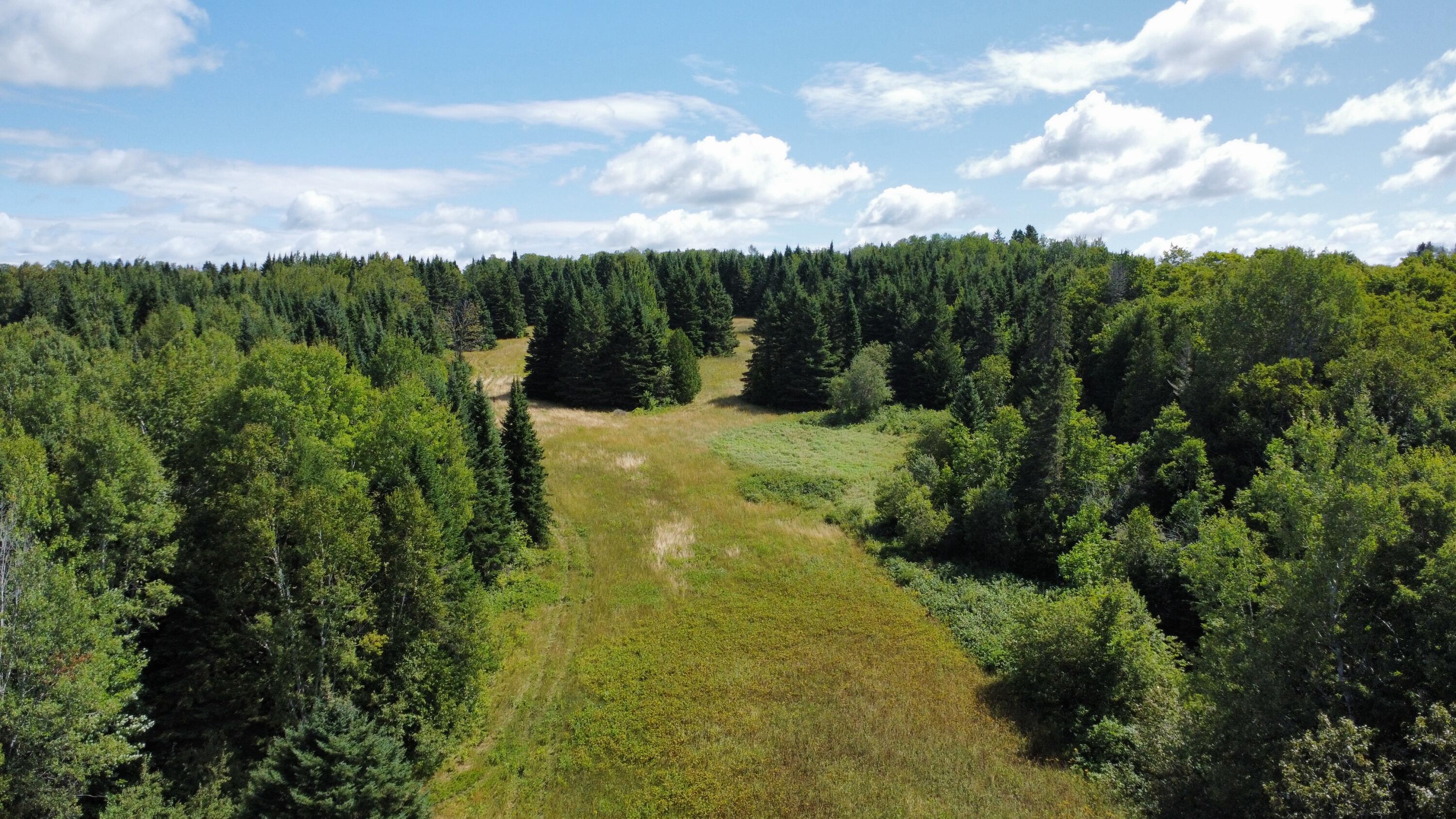 1075 W Road New Sweden, ME 04762 - Photo 128 of 150 dji_fly_20260814_114758_622_178672996280