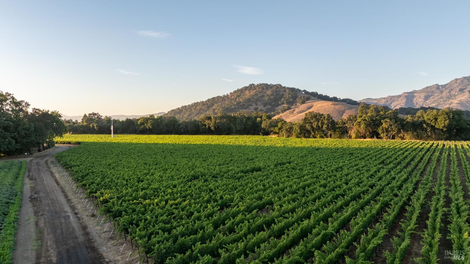 0 Ragatz Lane Napa, CA 94558 - Photo 5 of 27 Gallery Image 5