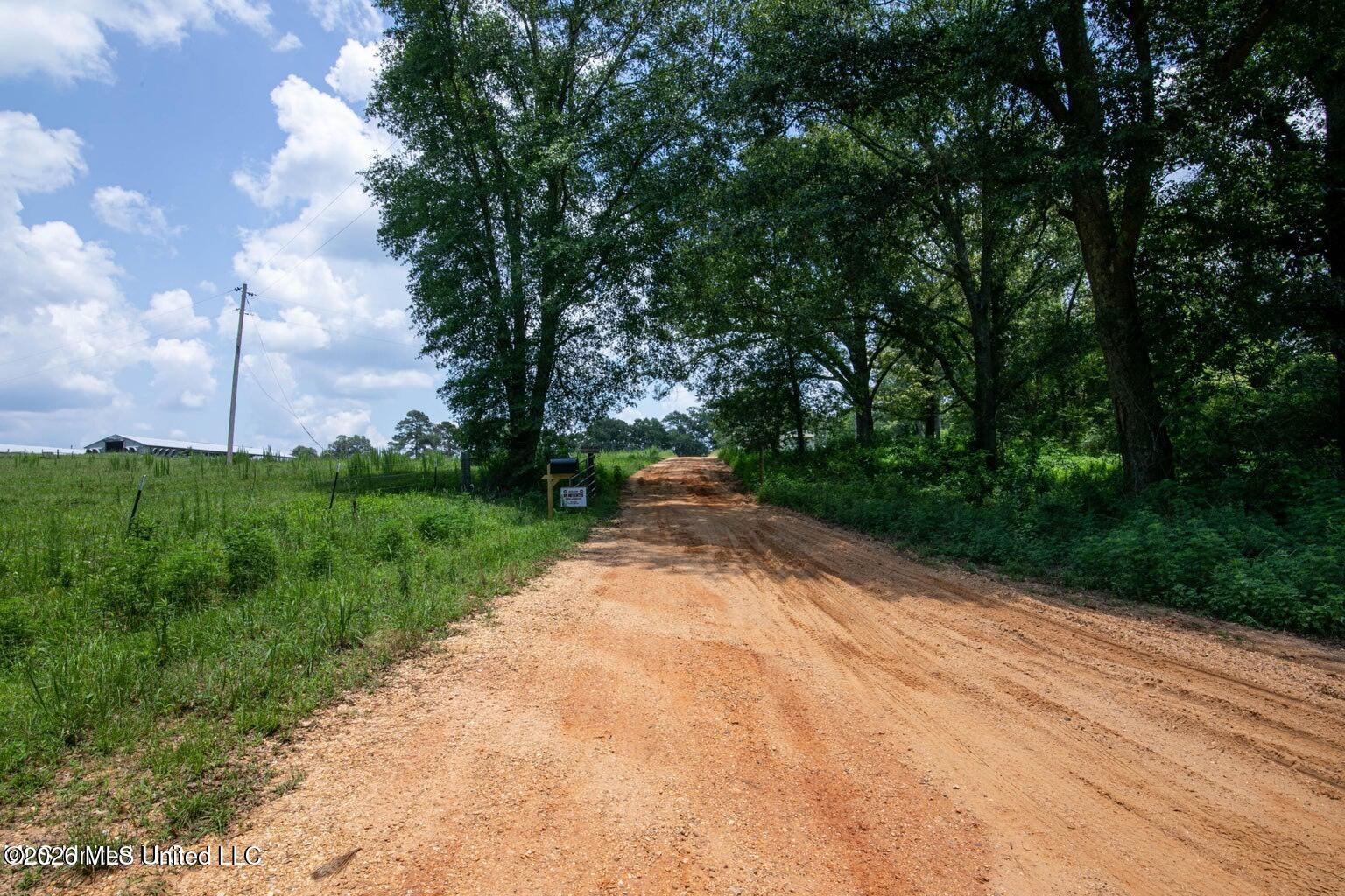 136 Arena Road Prentiss, MS 39474 - Photo 1 of 8 11612907-7kx29zcQhm772dj7