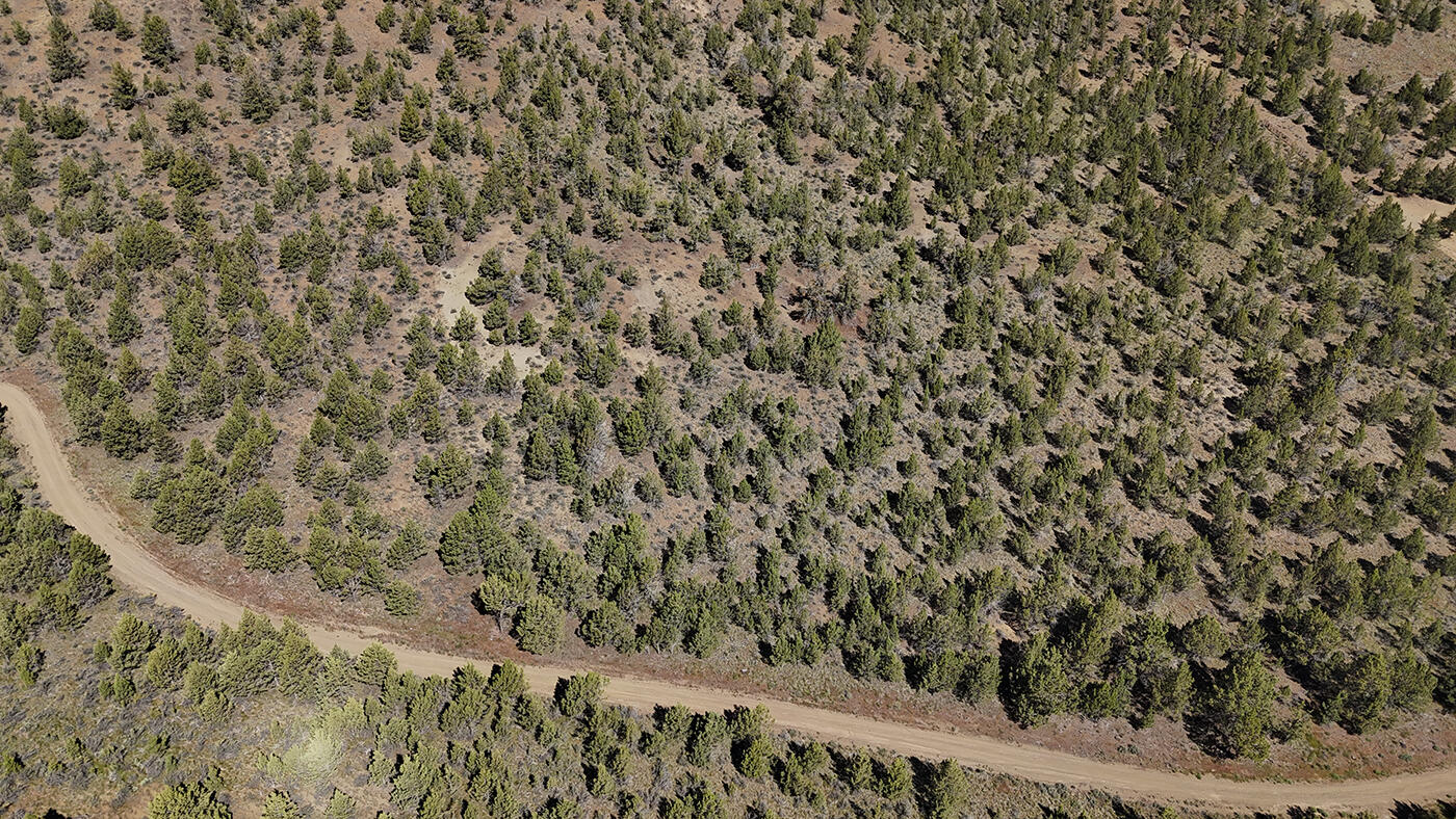 Southeast Osprey Road Prineville, OR 97754 - Photo 3 of 30 Dans Riverside Ranch Property 04