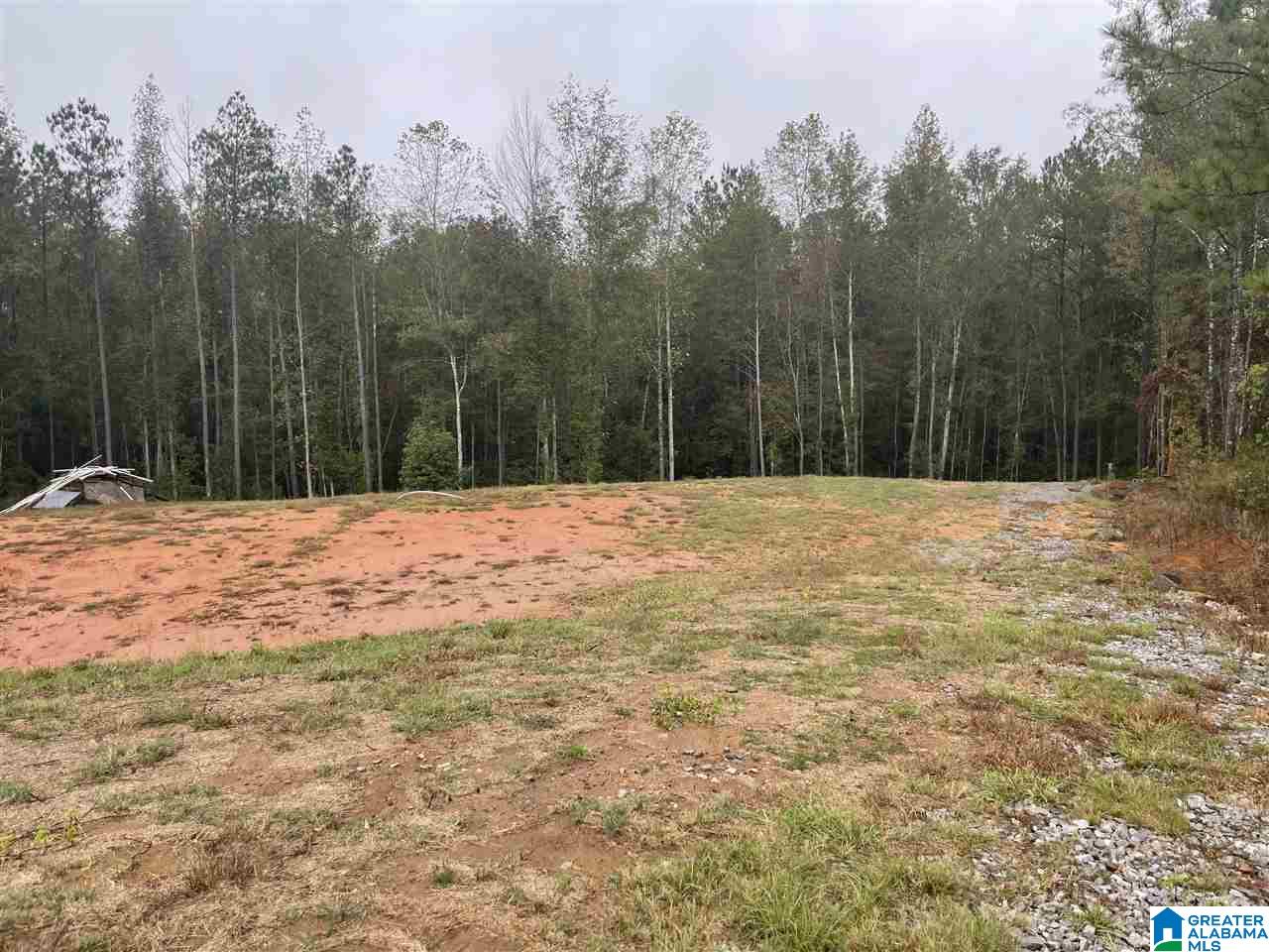 60 County Road 985 Jemison, AL 35085 - Photo 3 of 3