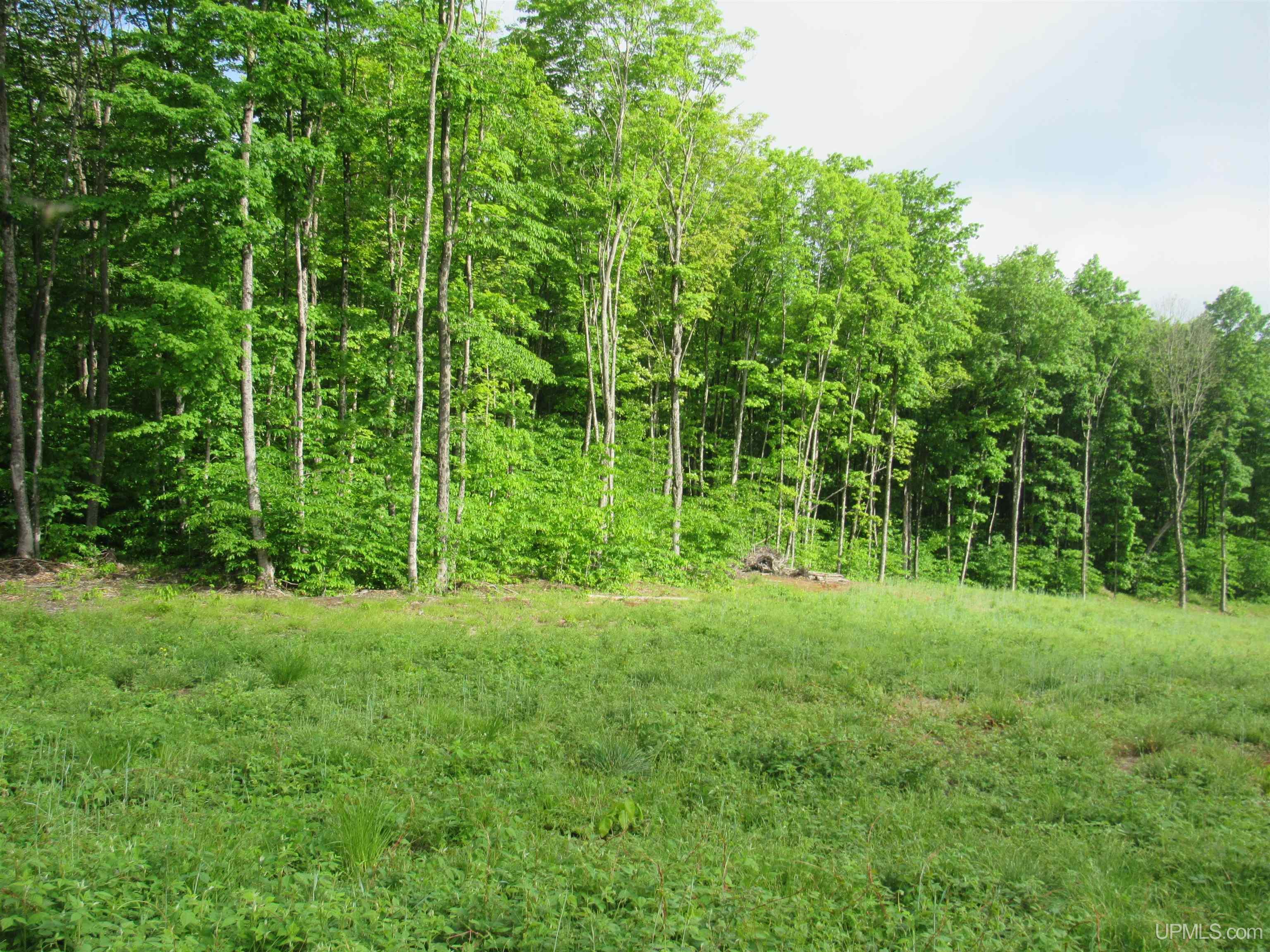 Tbd Tbd Sigan Camp Road Seney, MI 49883 - Photo 23 of 41