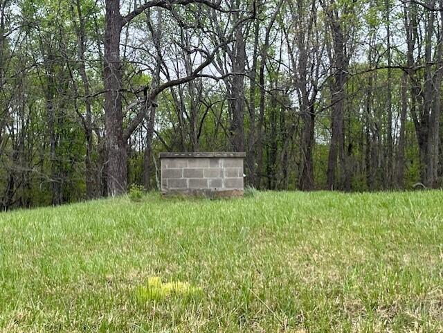 0 Gearing Ridge Road Londonderry, OH 45647 - Photo 24 of 29 thumbnail_IMG_7358