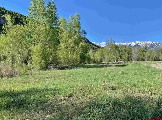 a view of outdoor space and yard