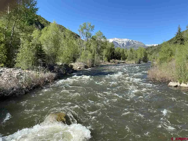a view of a forest with a yard