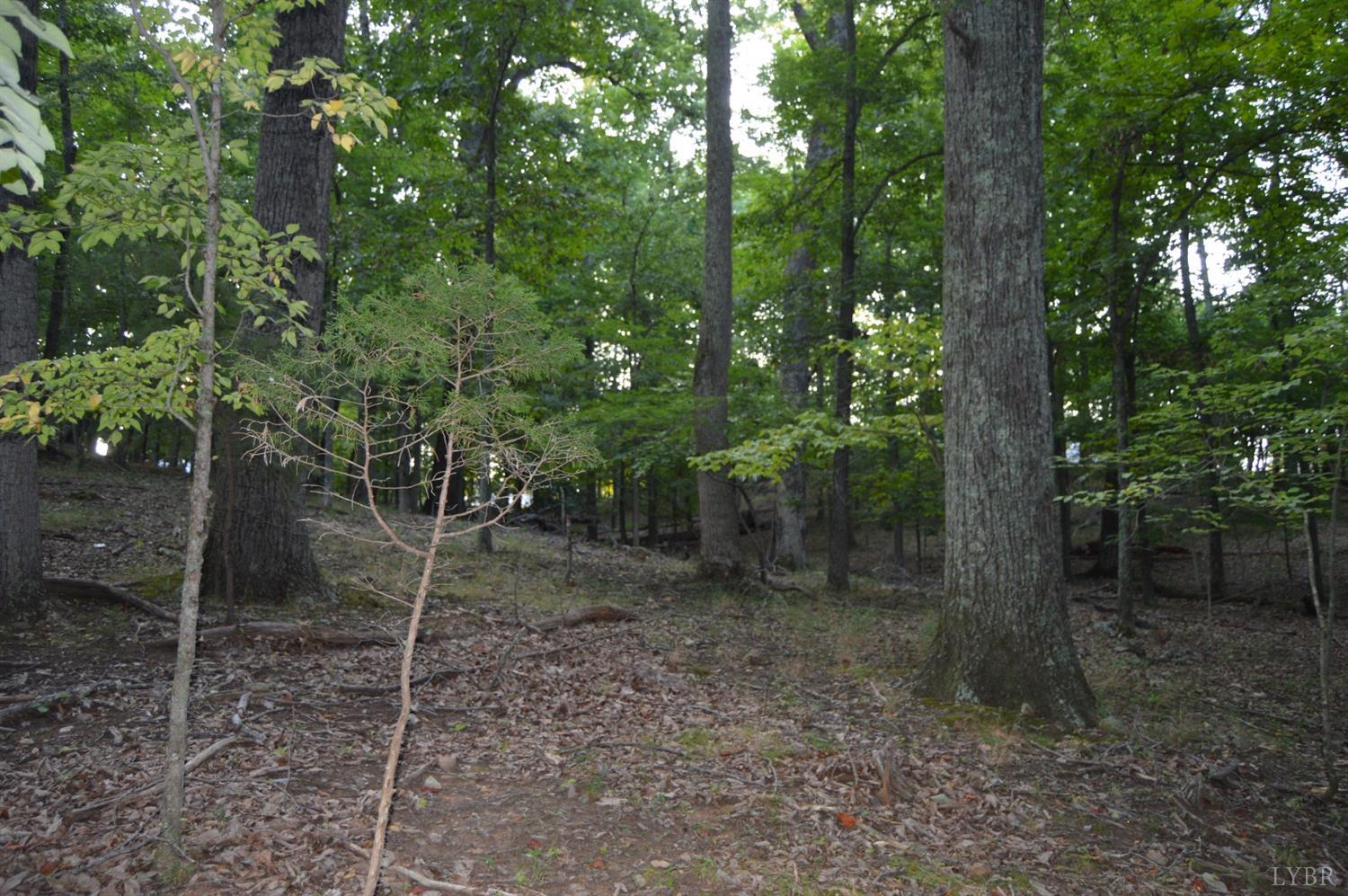 7-8 Cifax Road Goode, VA 24556 - Photo 2 of 3 a view of a forest