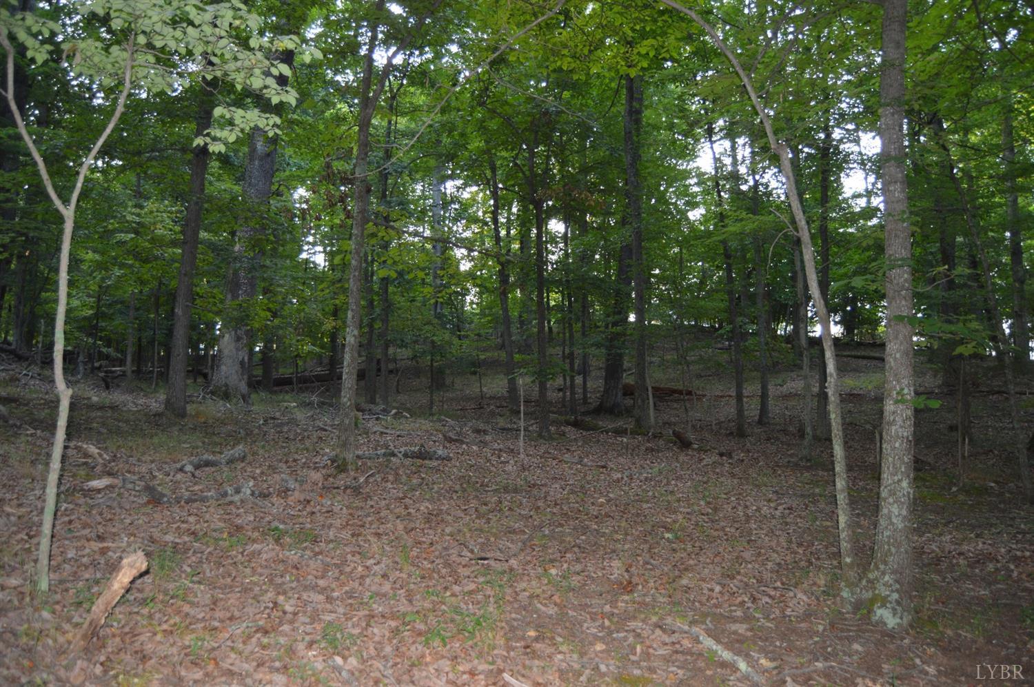 7-8 Cifax Road Goode, VA 24556 - Photo 3 of 3 a view of a forest that has large trees