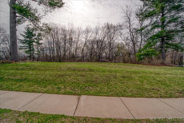 a view of a grassy field with trees around