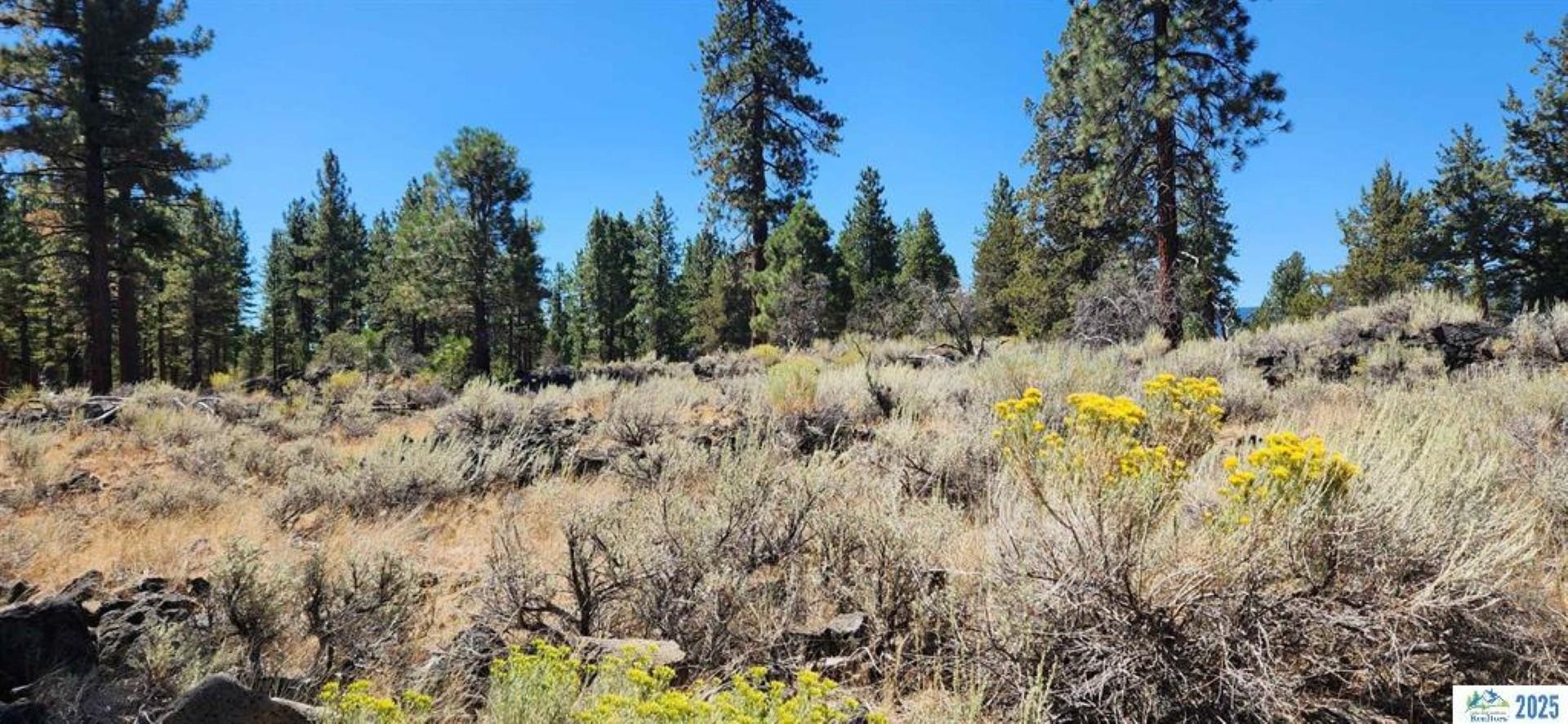 Juniper Way Susanville, CA 96130 - Photo 1 of 1