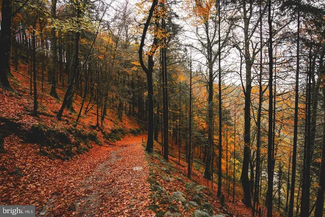 $1,099,000 | 1716 St Georges Road, Dresher, PA 19025