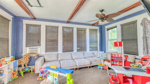 a living room filled with furniture and a potted plant